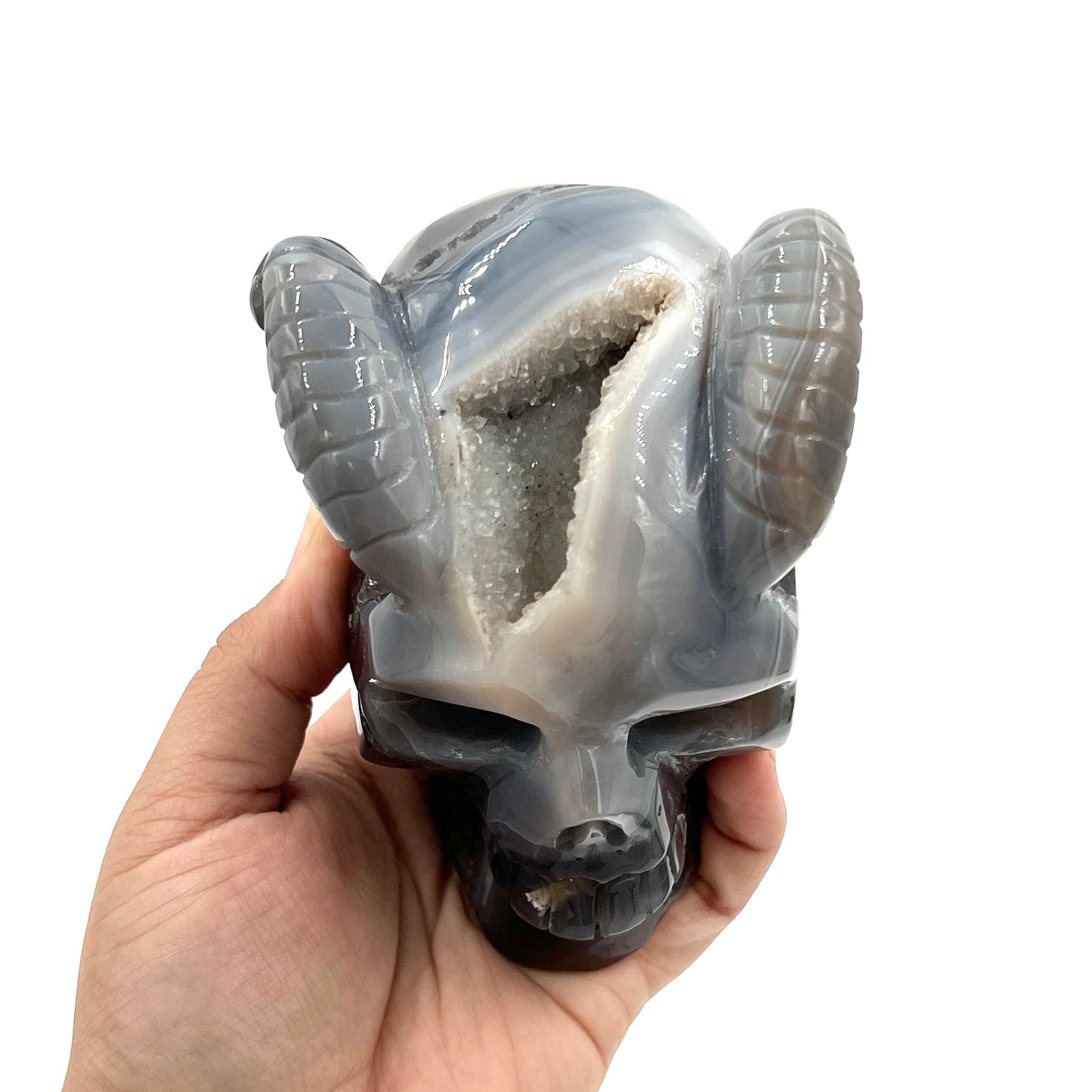 Druzy Agate Skull with Horns