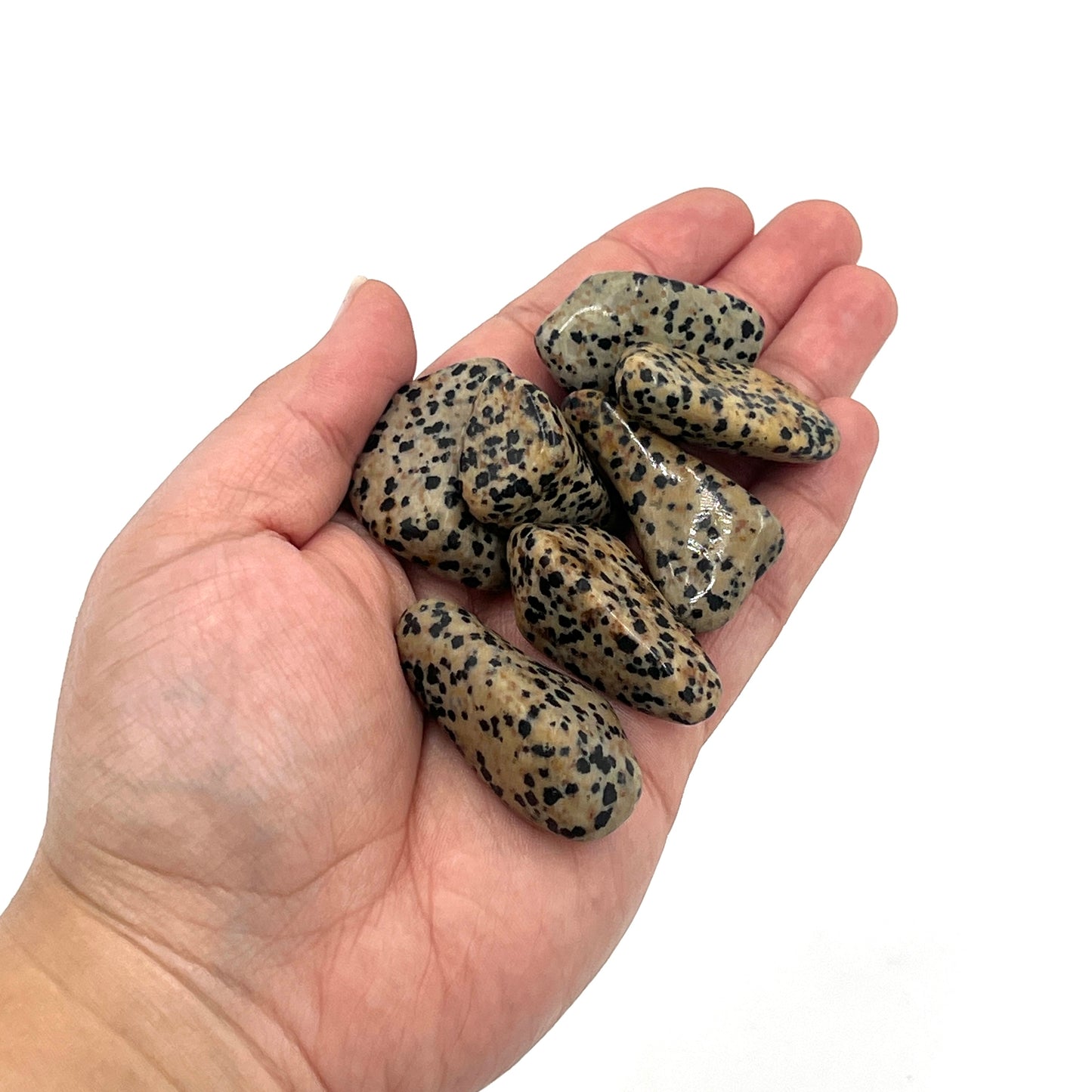 Dalmatian Jasper Tumbles