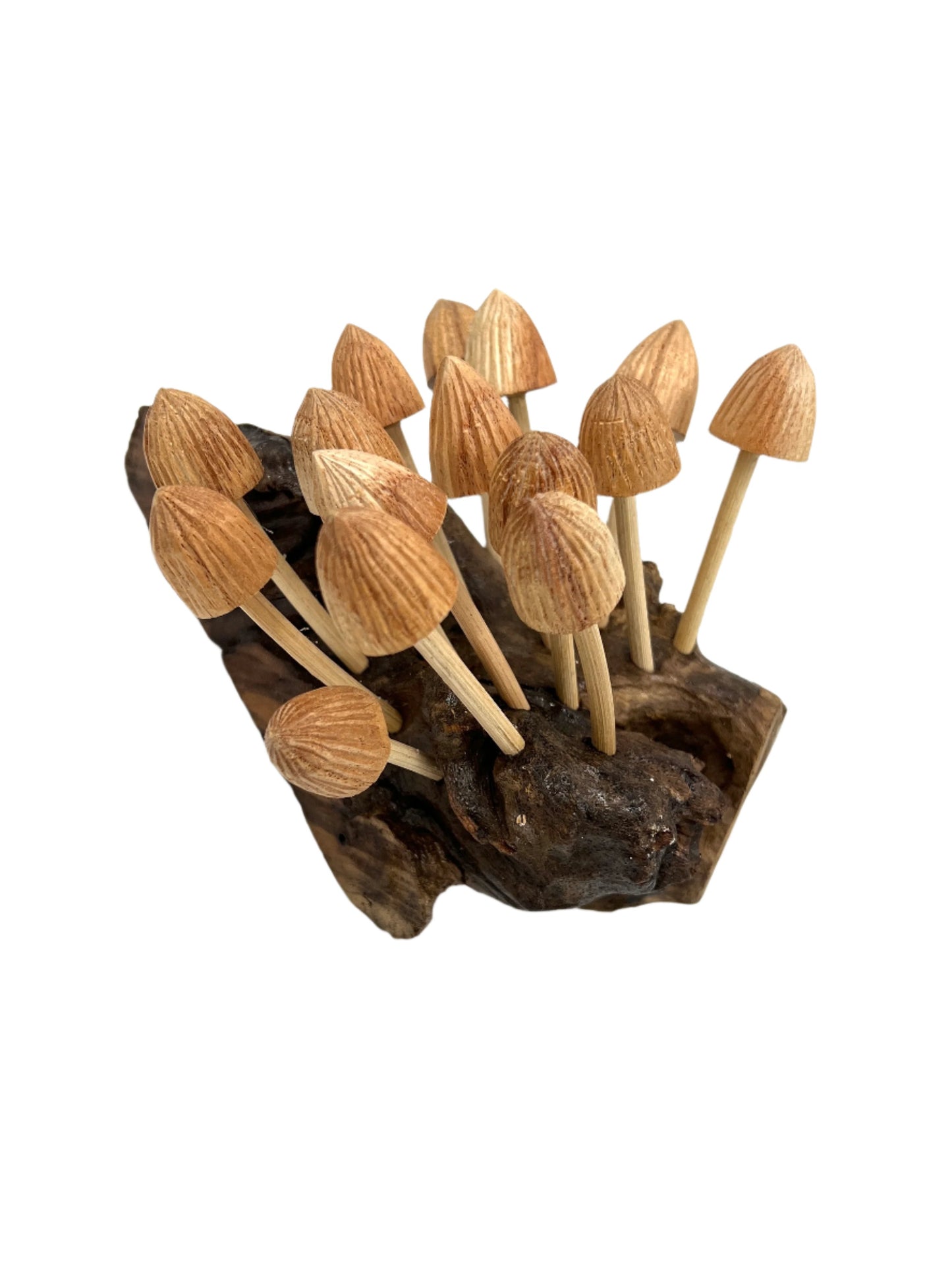 Parasite Wood Pointed Mushroom Colony Wall Carving