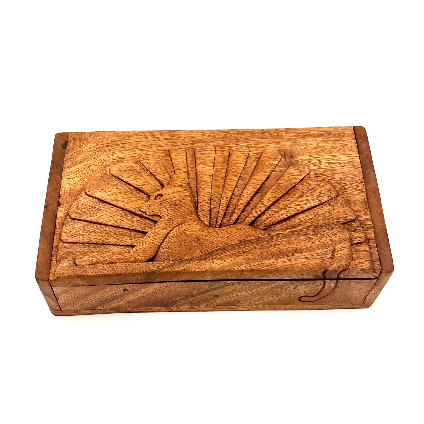 Cats Down Under the Stars Box