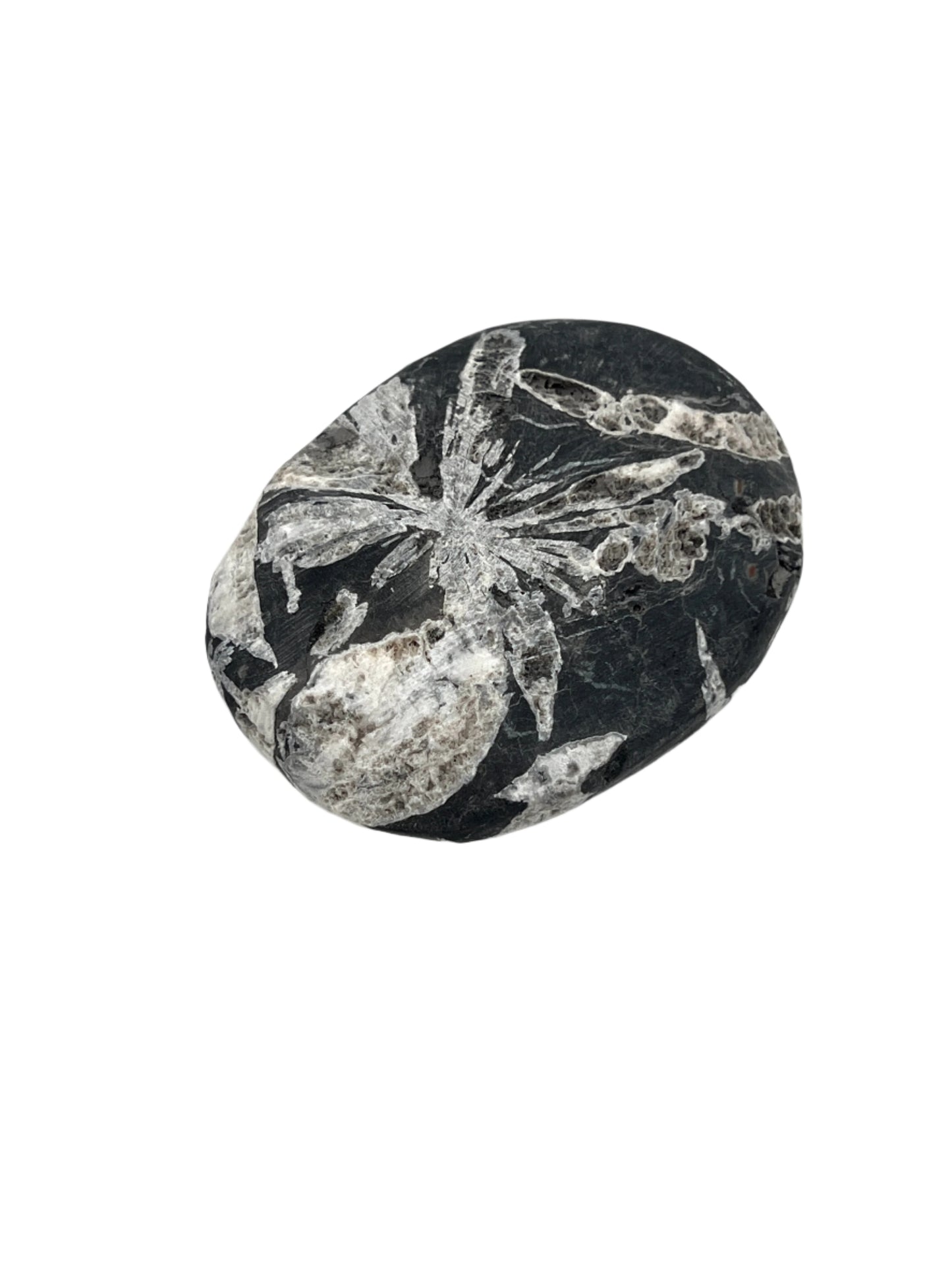 Decorative stone with floral patterns on a white background