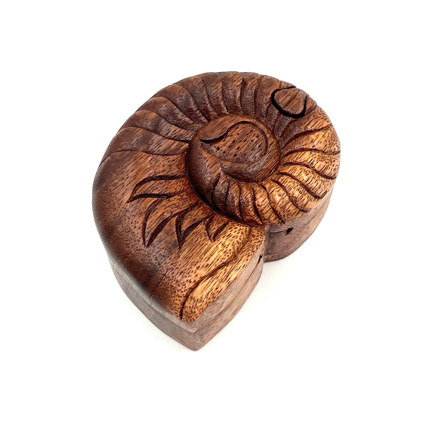 Nautilus Shell Puzzle Boxes