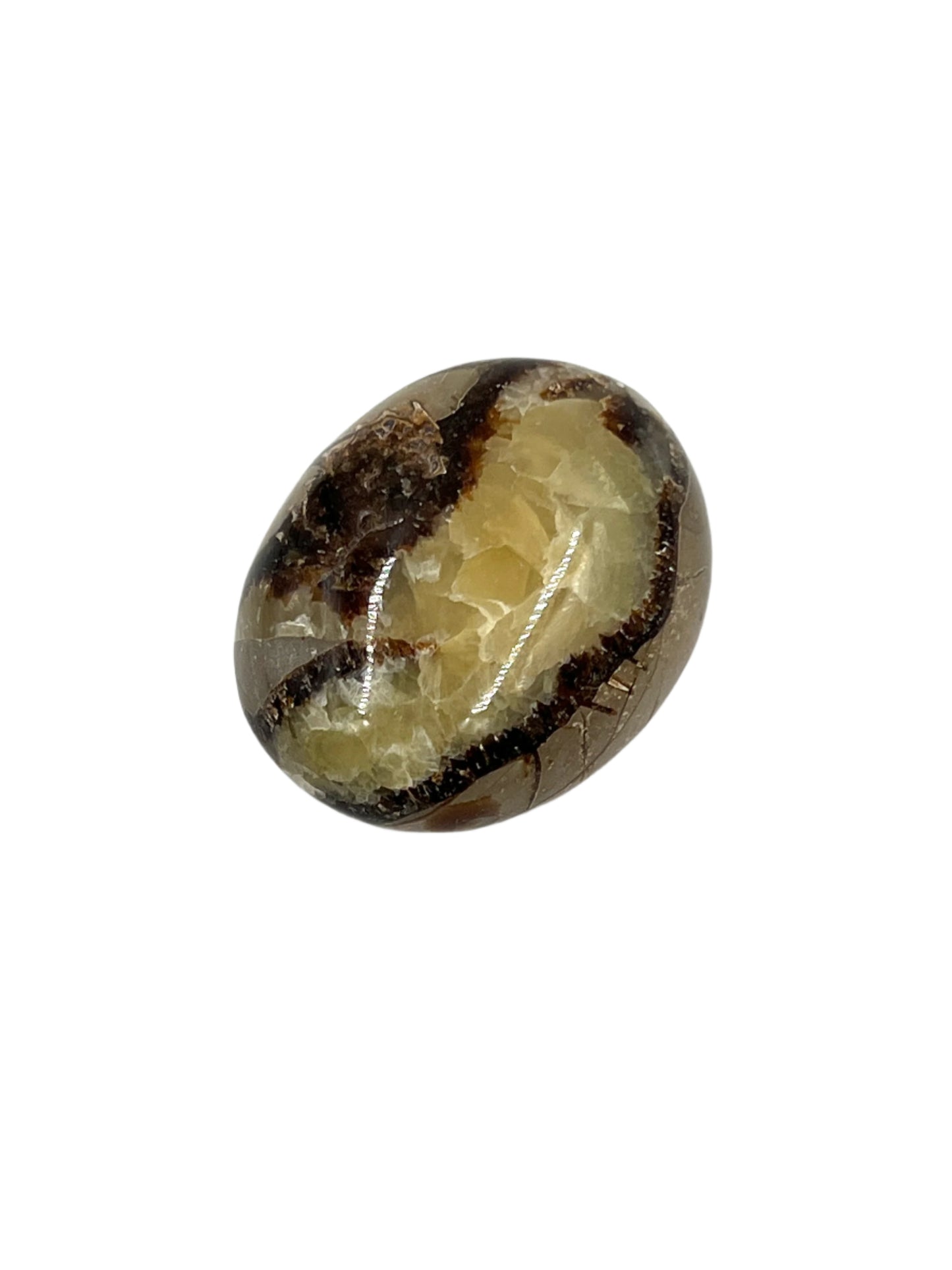 Brown and beige stone on a white background