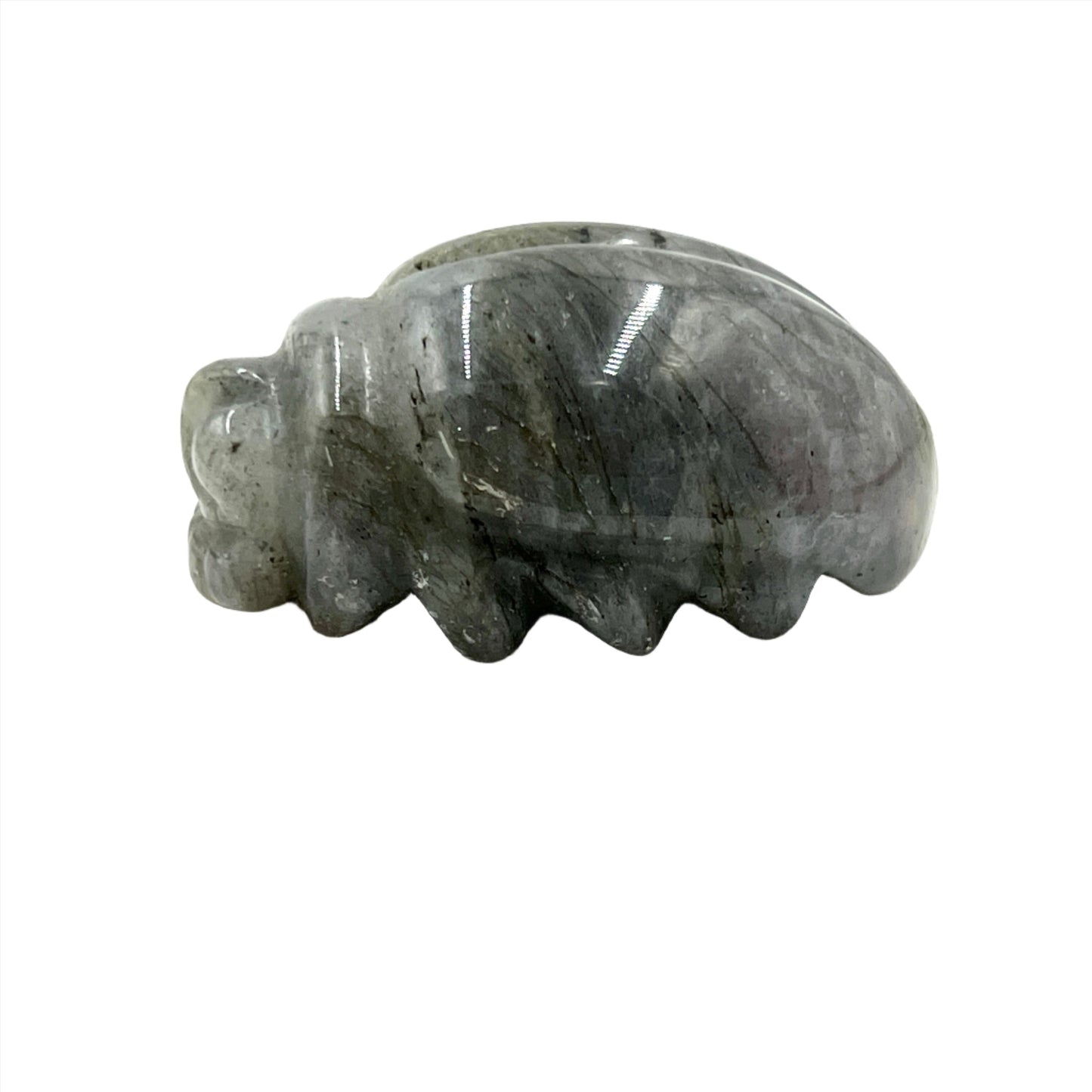 Labradorite Scarab