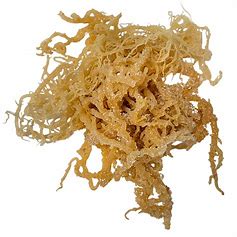 Irish Sea Moss (whole)
