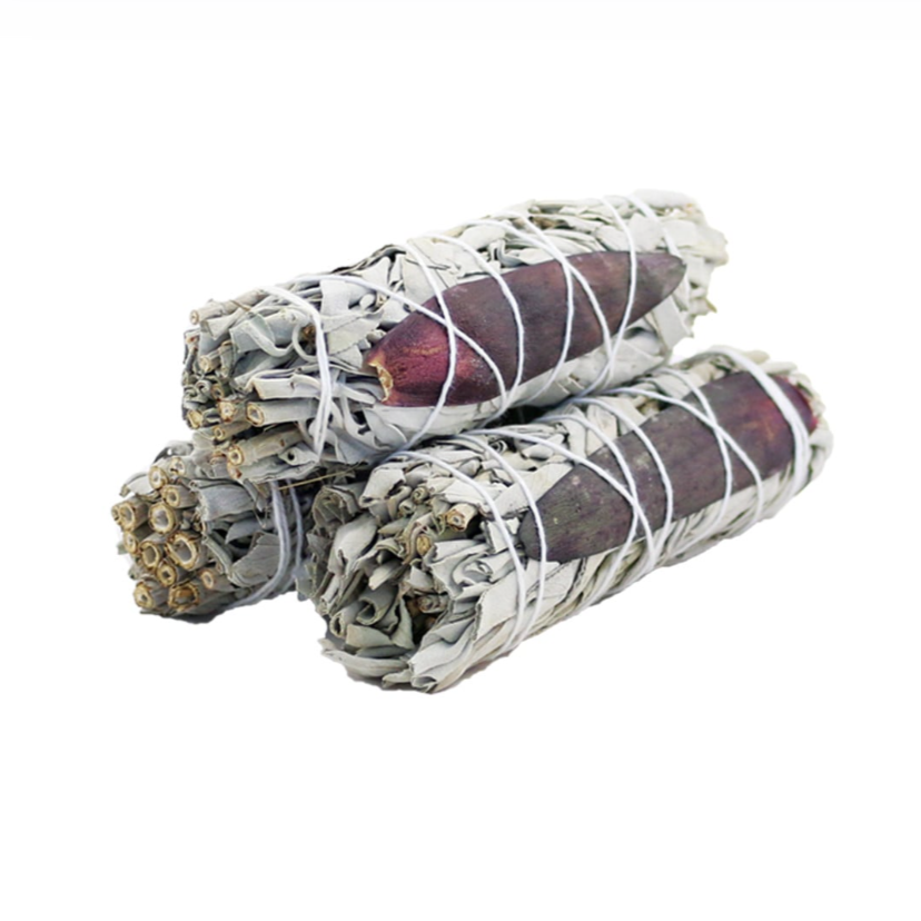 4" Dream Sage Bundle