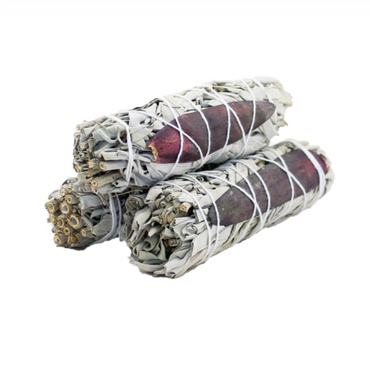 4" Dream Sage Bundle