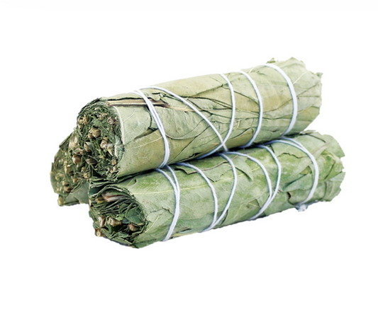 4" Eucalyptus Sage Bundle