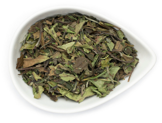 White Peony Tea