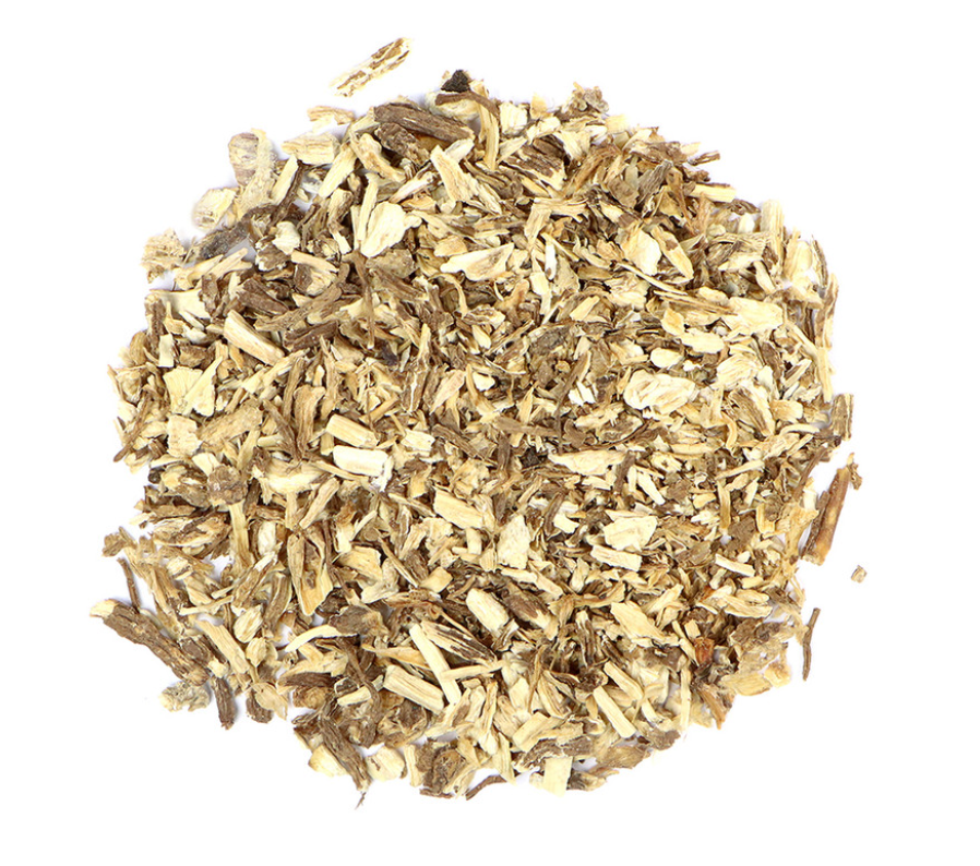 Angelica Root