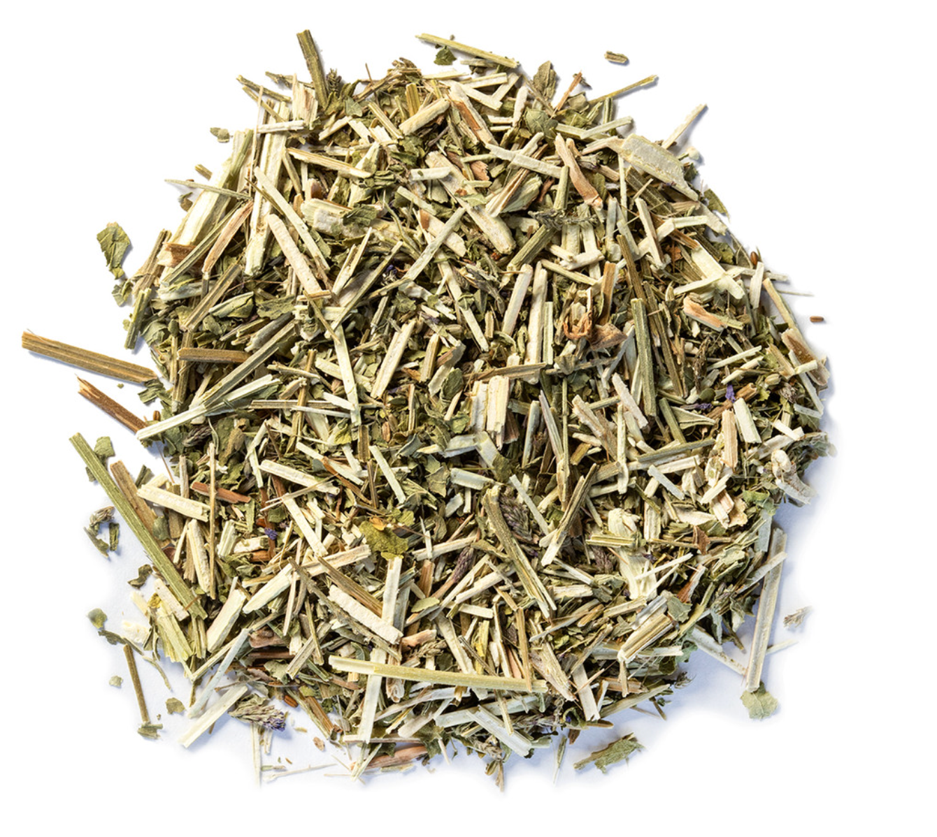 Vervain Common