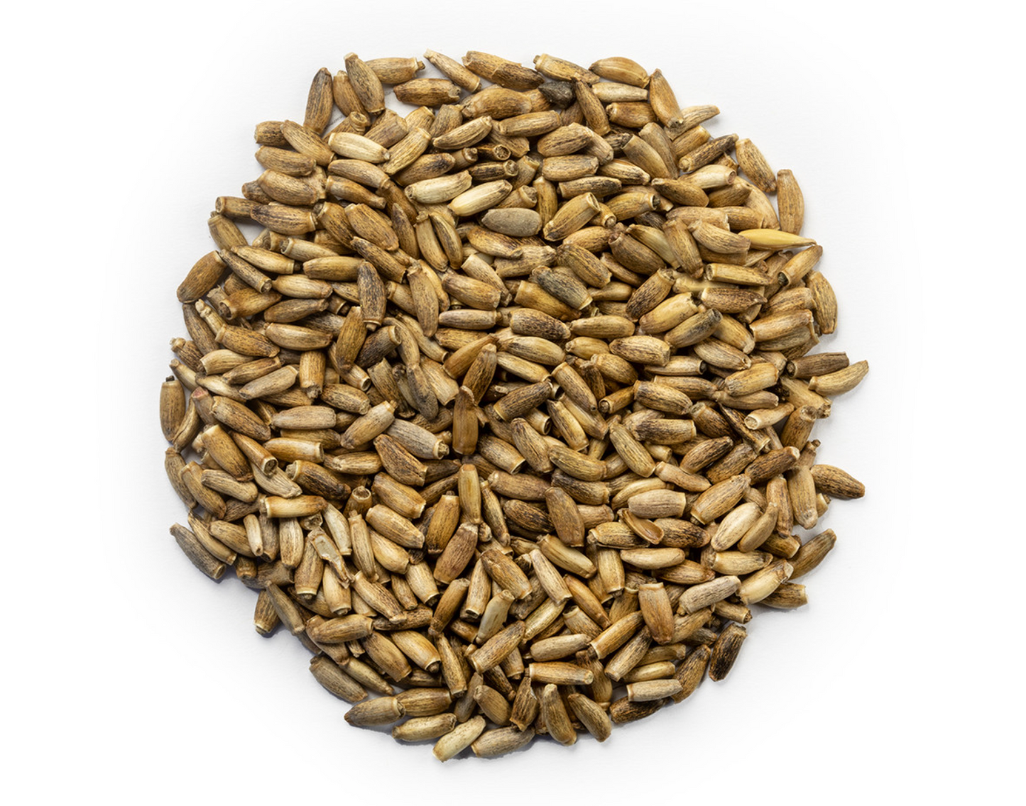 Milk Thistle Seed