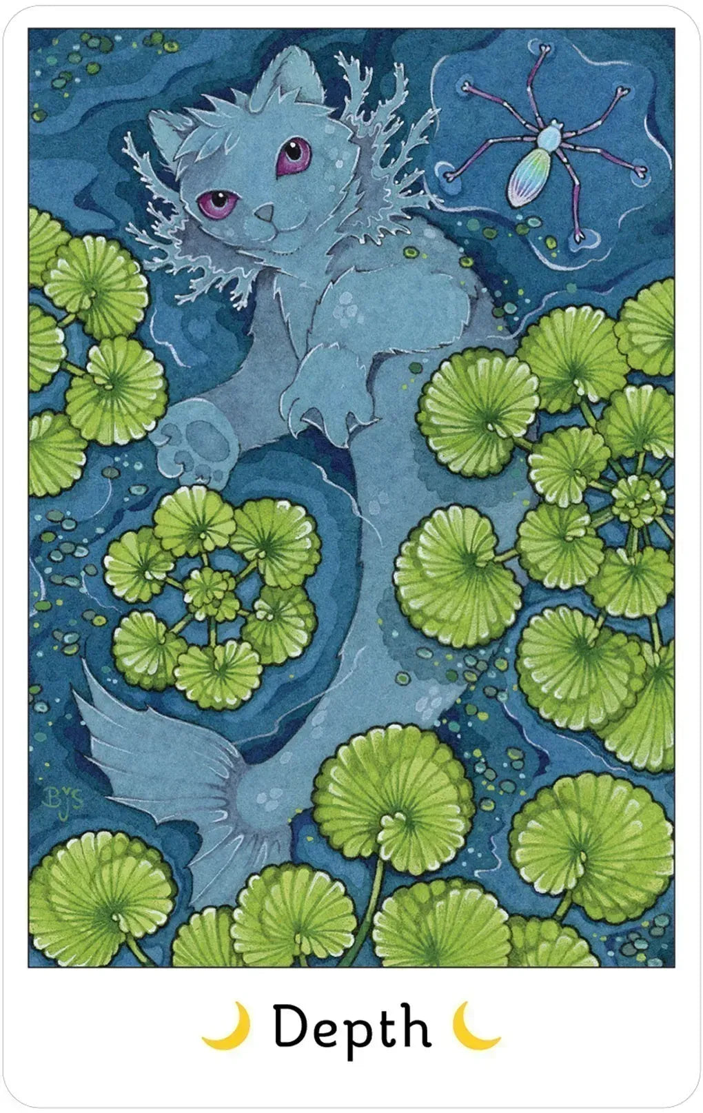 Affirmations of the Fairy Cats Deck and Book set