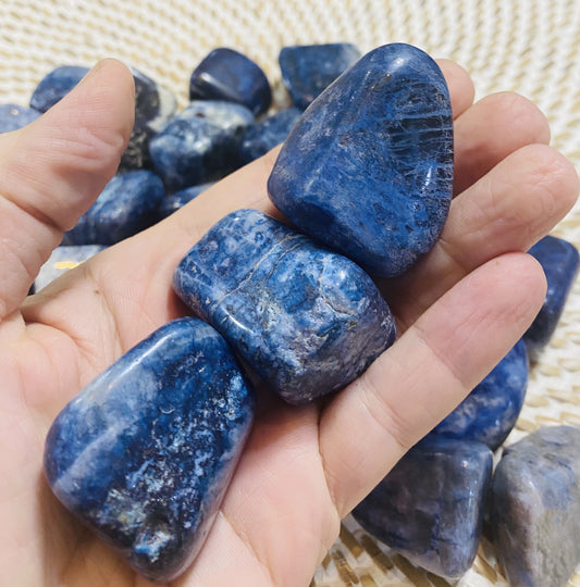 XL Sodalite Tumbles