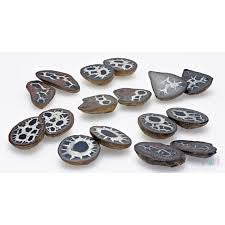 Septarian Dragons Egg Pairs for jewelry