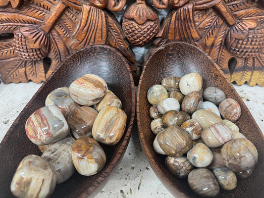 Petrified Wood Tumbles