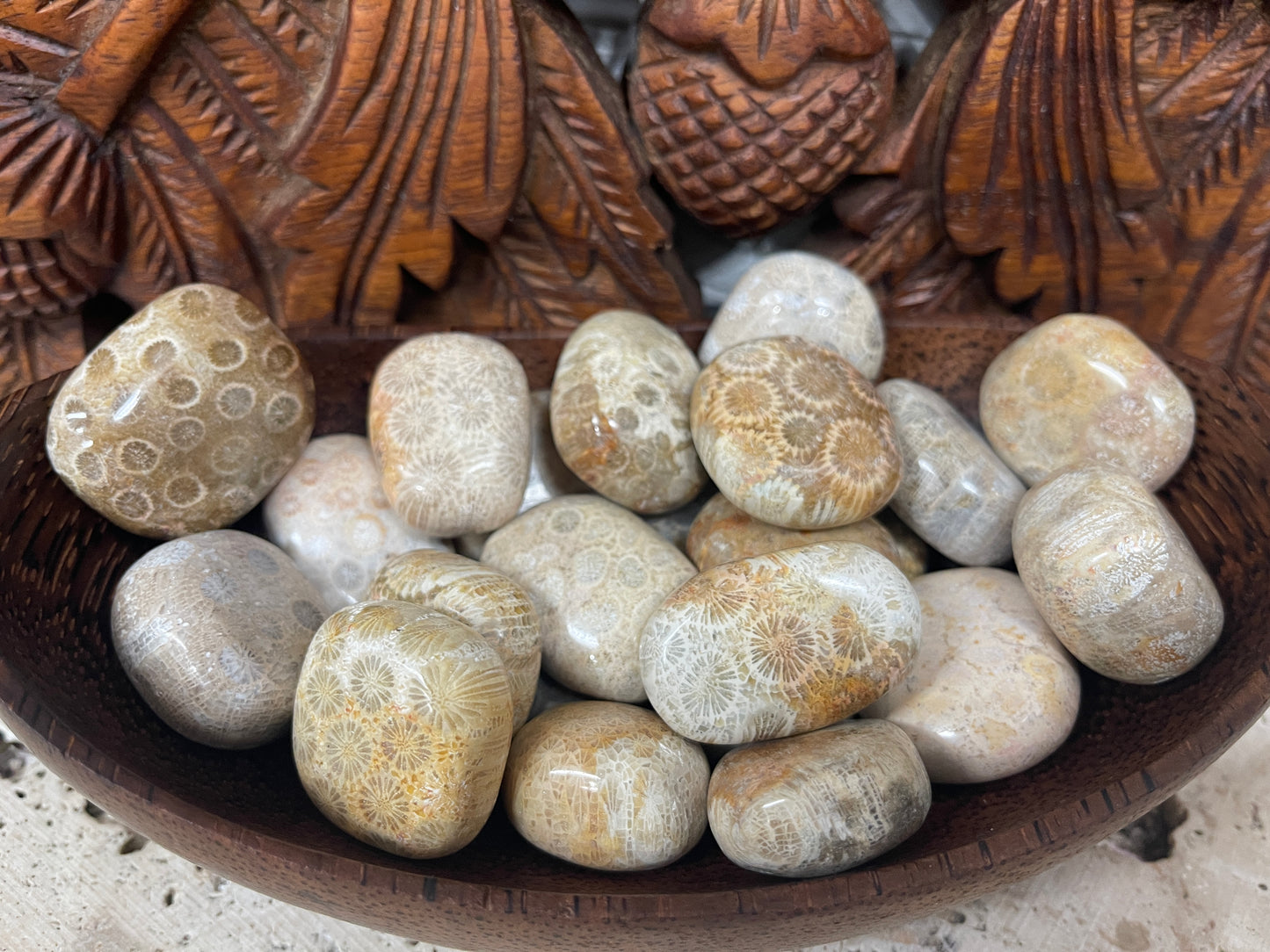 Fossilized Coral Tumbles