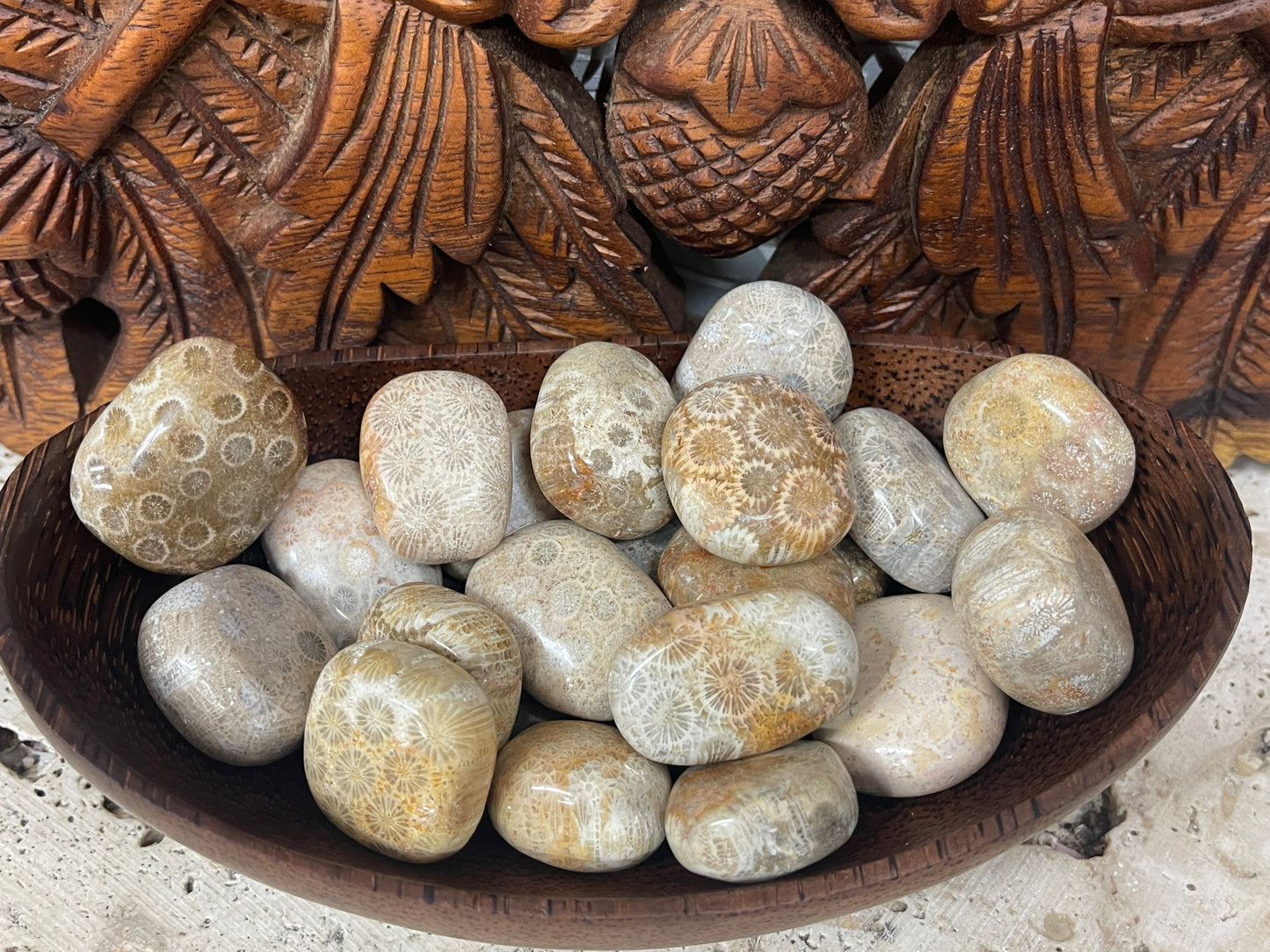 Fossilized Coral Tumbles