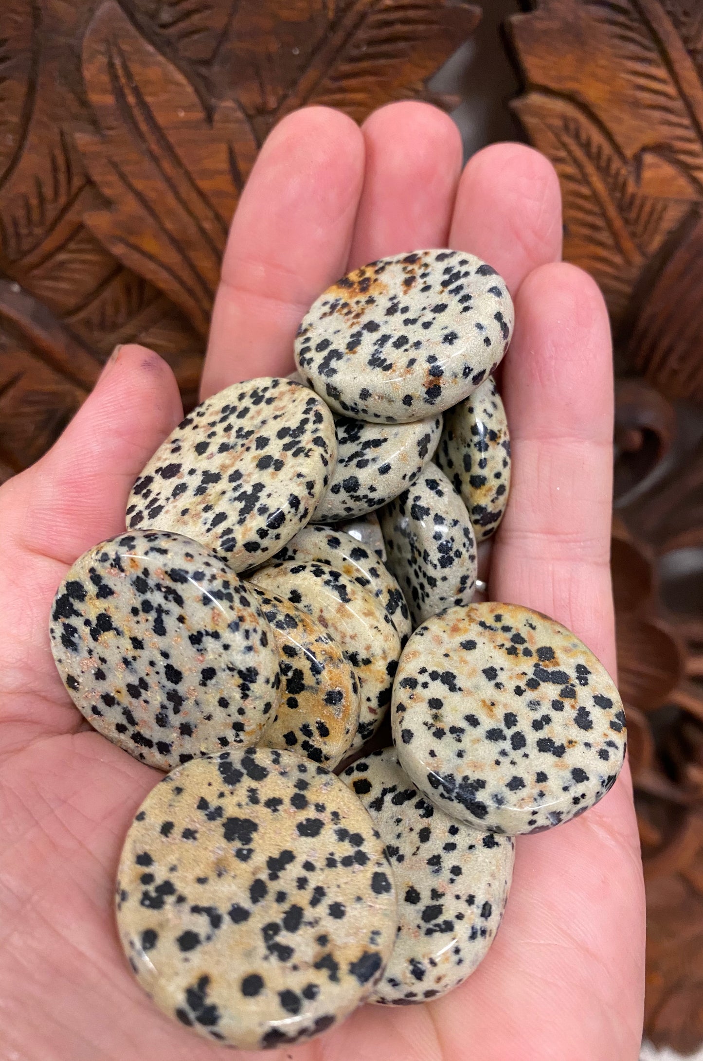 Dalmatian Jasper Coins