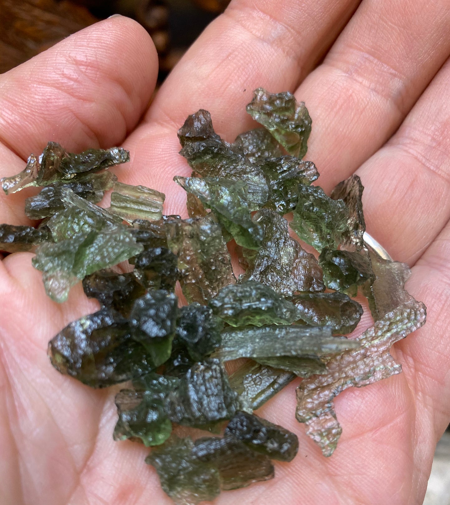 Raw Moldavite Specimens