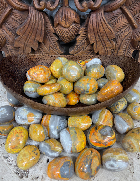 Bumble Bee Jasper Tumbles