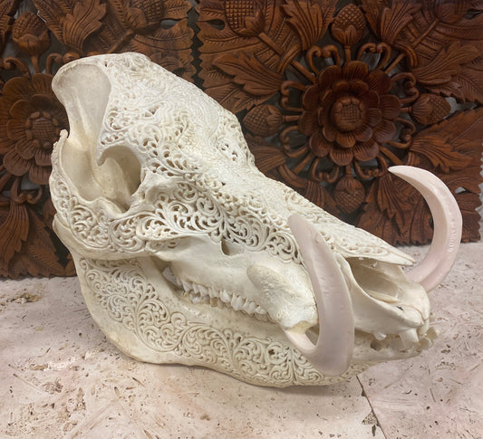 Intricately Carved Wild Boar Skulls with Dragon