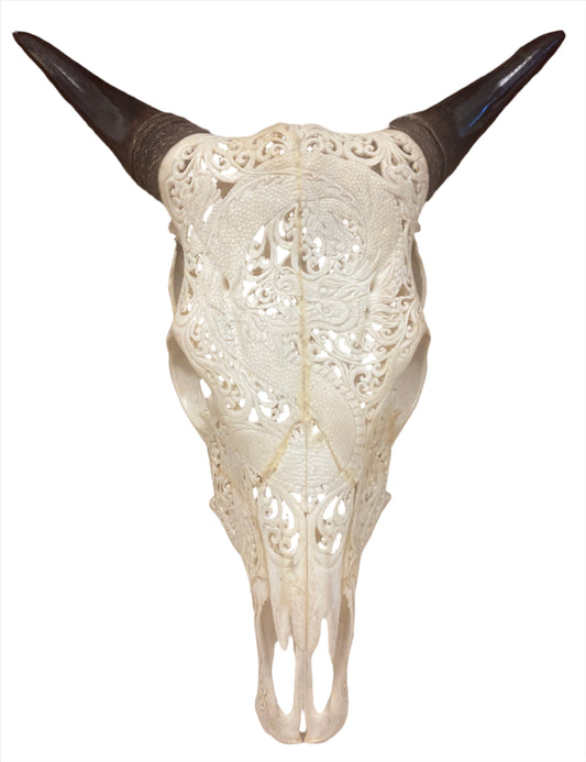 Intricately Carved Buffalo Skulls Dragons
