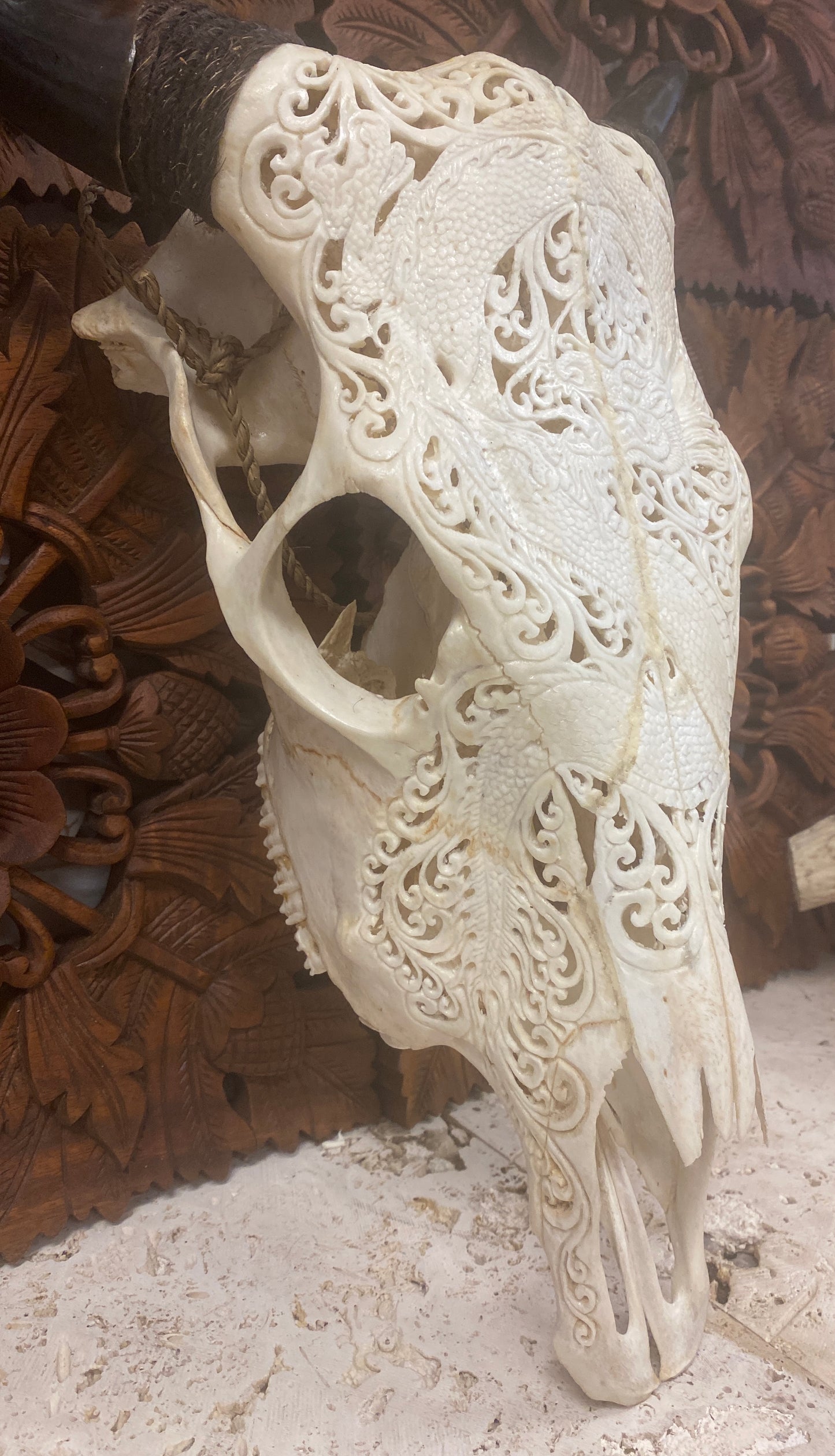 Intricately Carved Buffalo Skulls Dragons