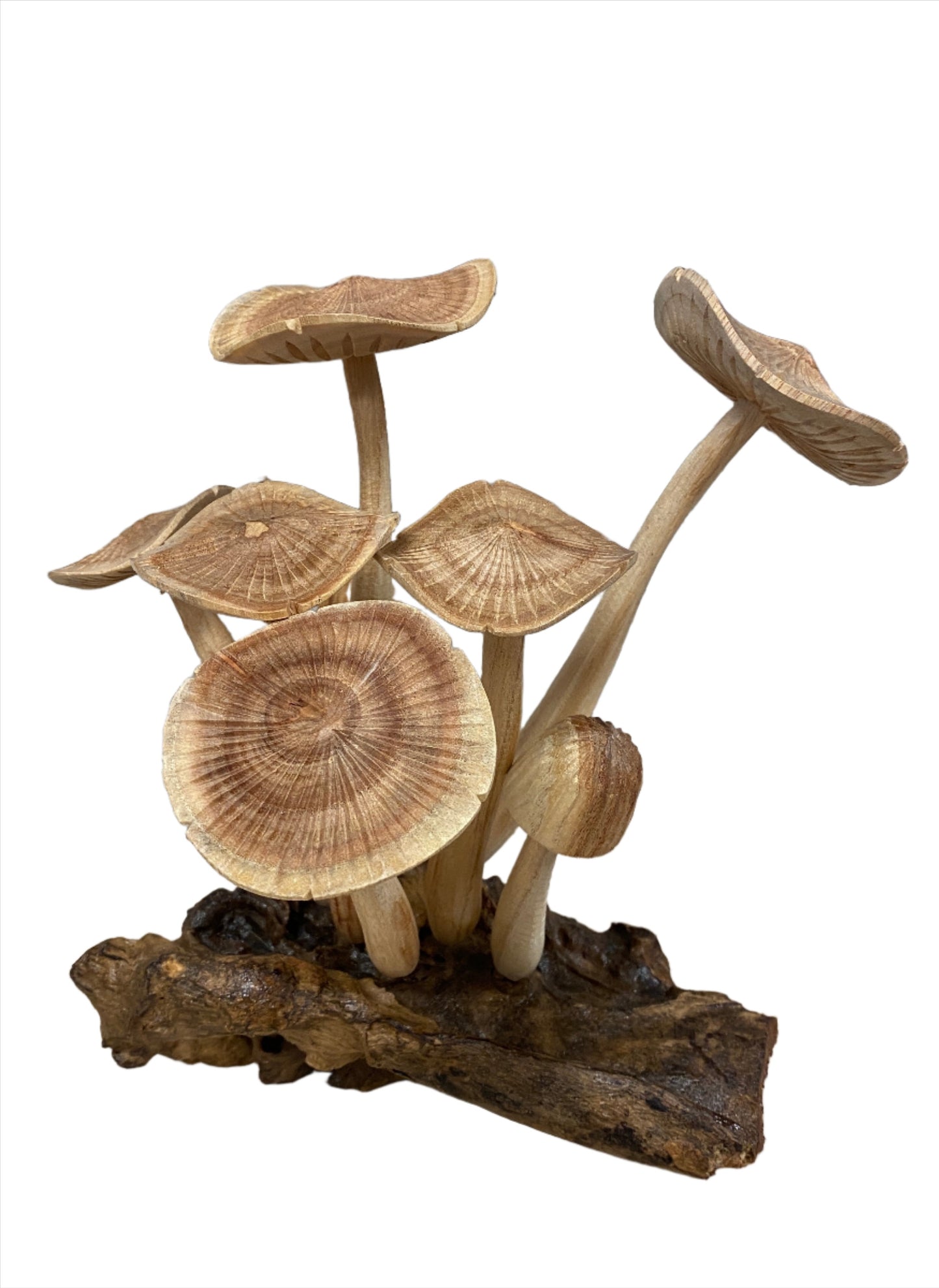 Parasite Wood Mushroom Colony Carving