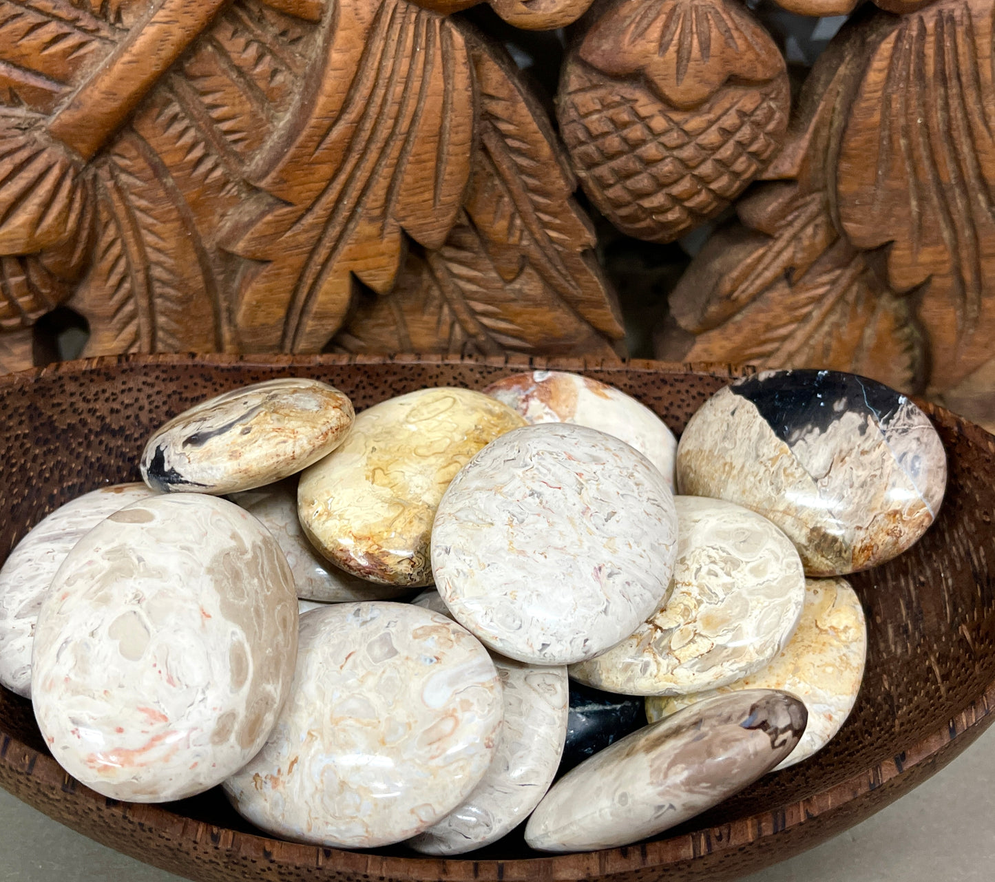 Fossilized Root Palm Stones