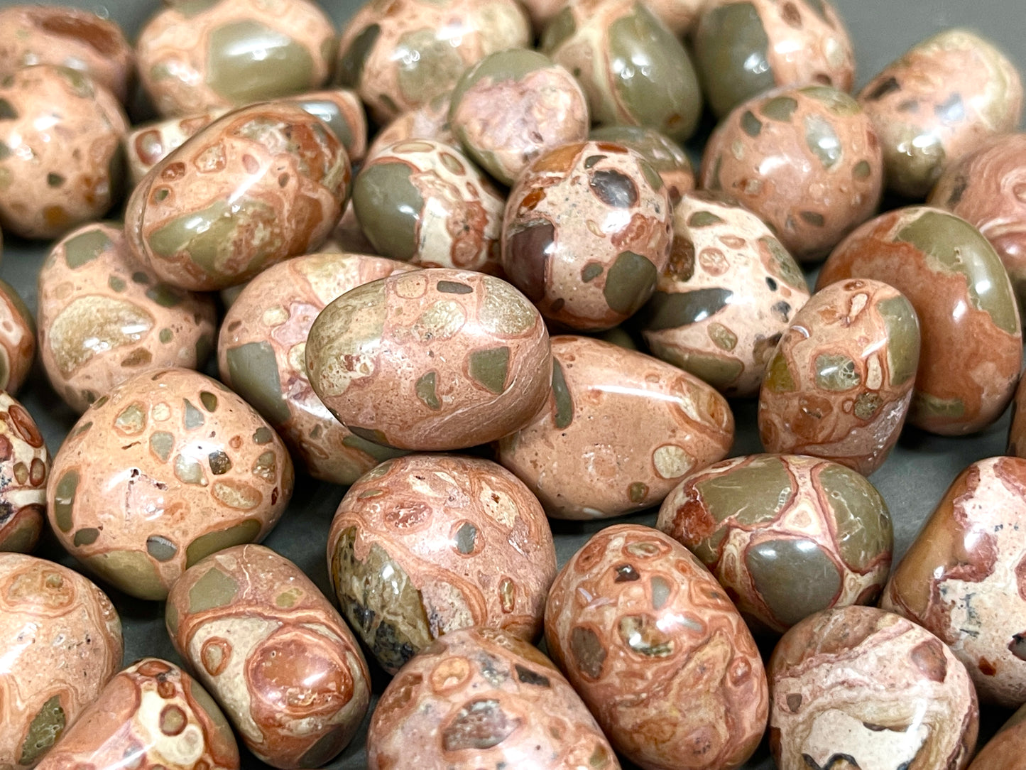Leopardite Jasper Tumbles