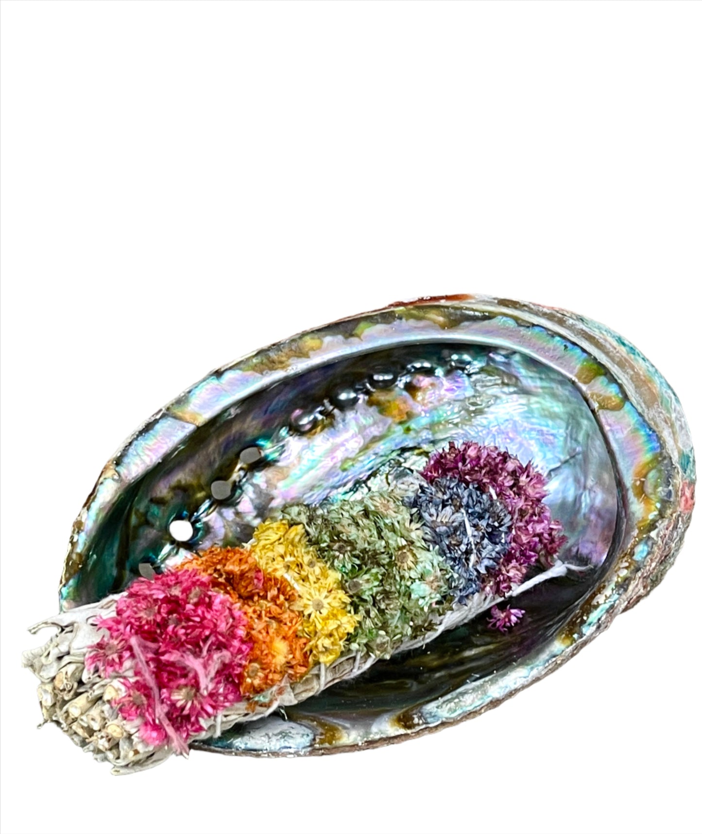 Abalone Shell Smudge Burners