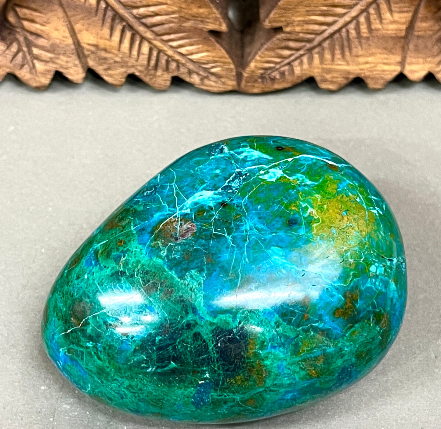 XXLarge Chrysocolla Freeforms