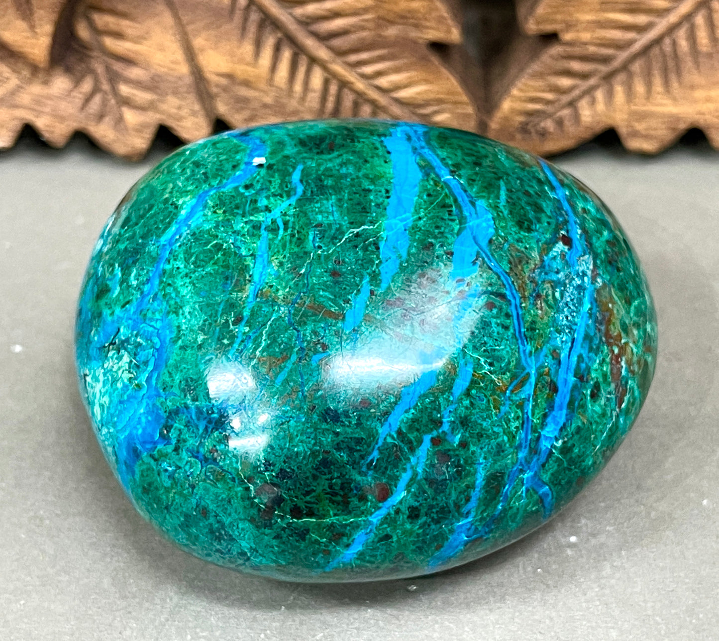 XXLarge Chrysocolla Freeforms