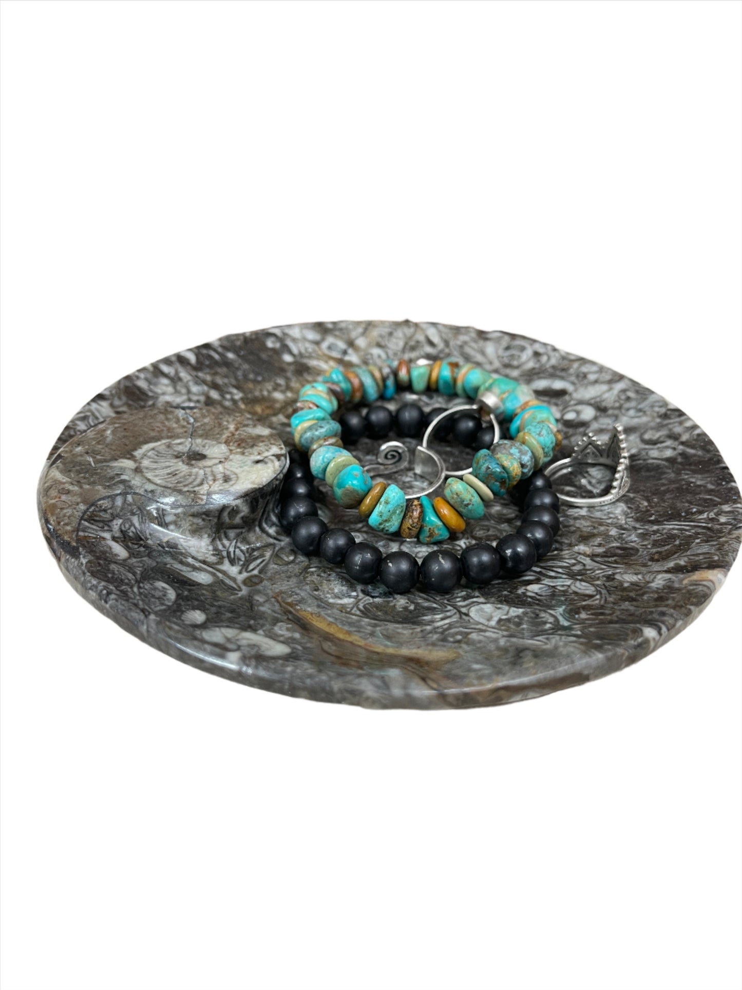 Ammonite Fossil Dish