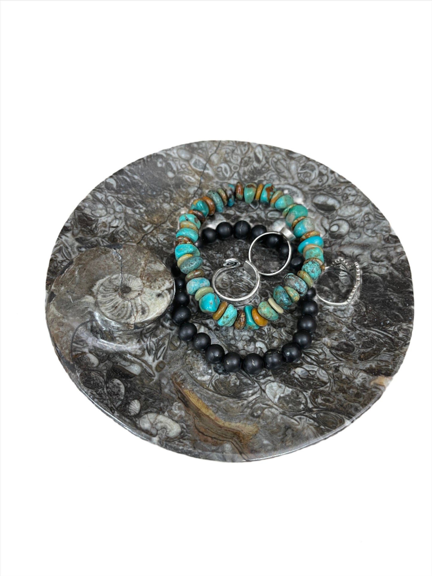 Ammonite Fossil Dish