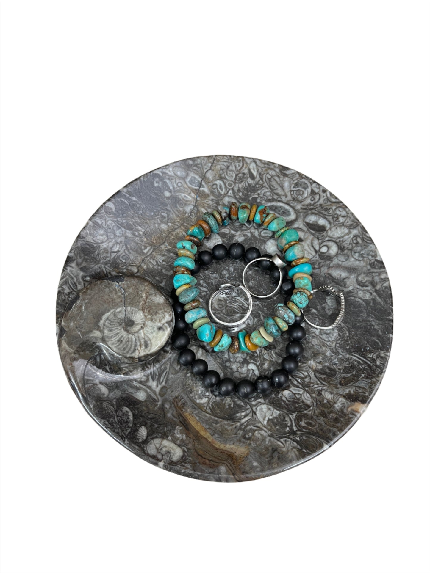 Ammonite Fossil Dish