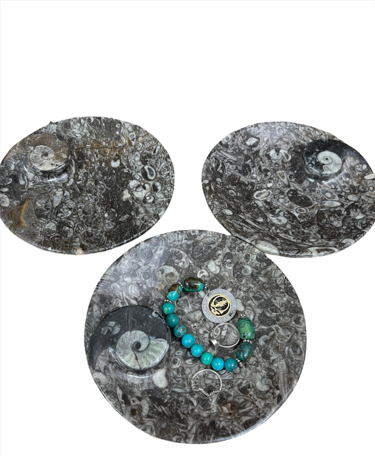 Ammonite Fossil Dish
