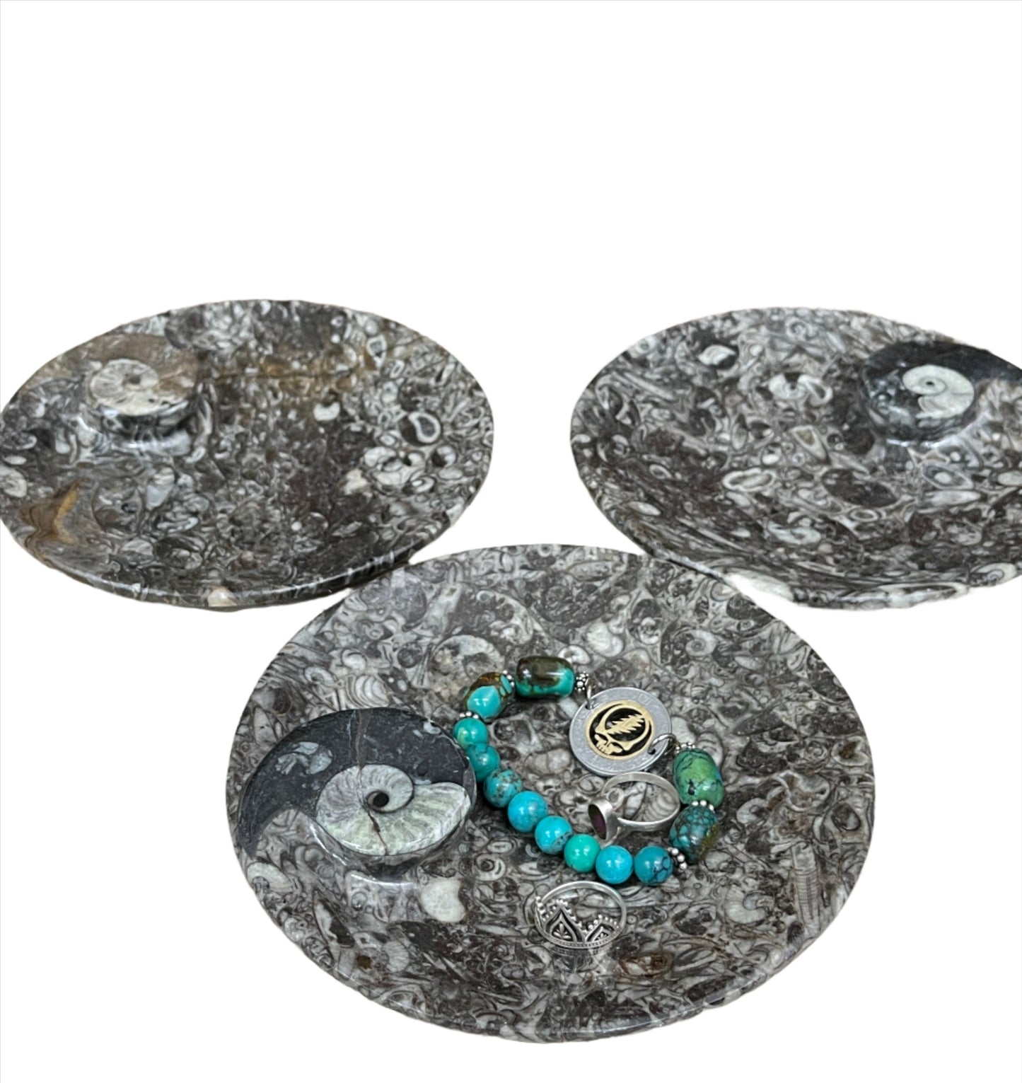 Ammonite Fossil Dish