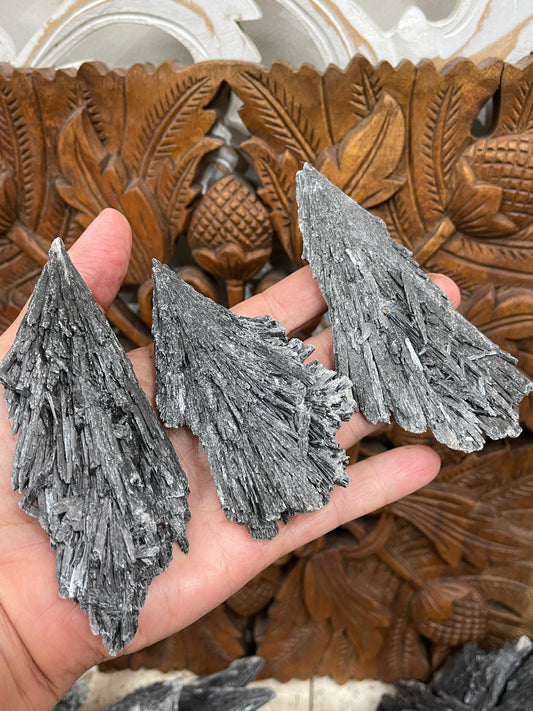 Raw Black Kyanite Blades