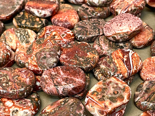 Leopard Skin Jasper Coins