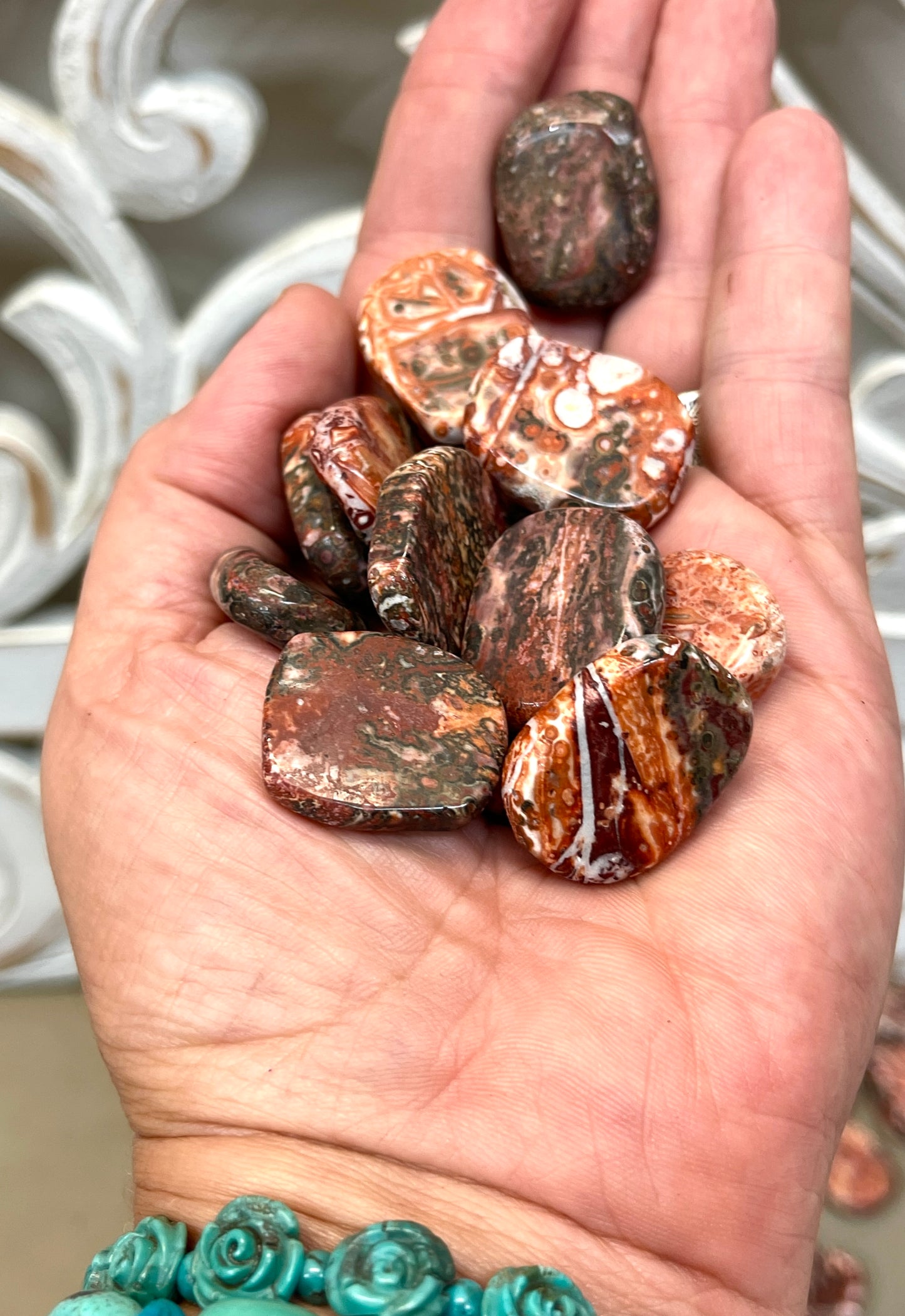 Leopard Skin Jasper Coins