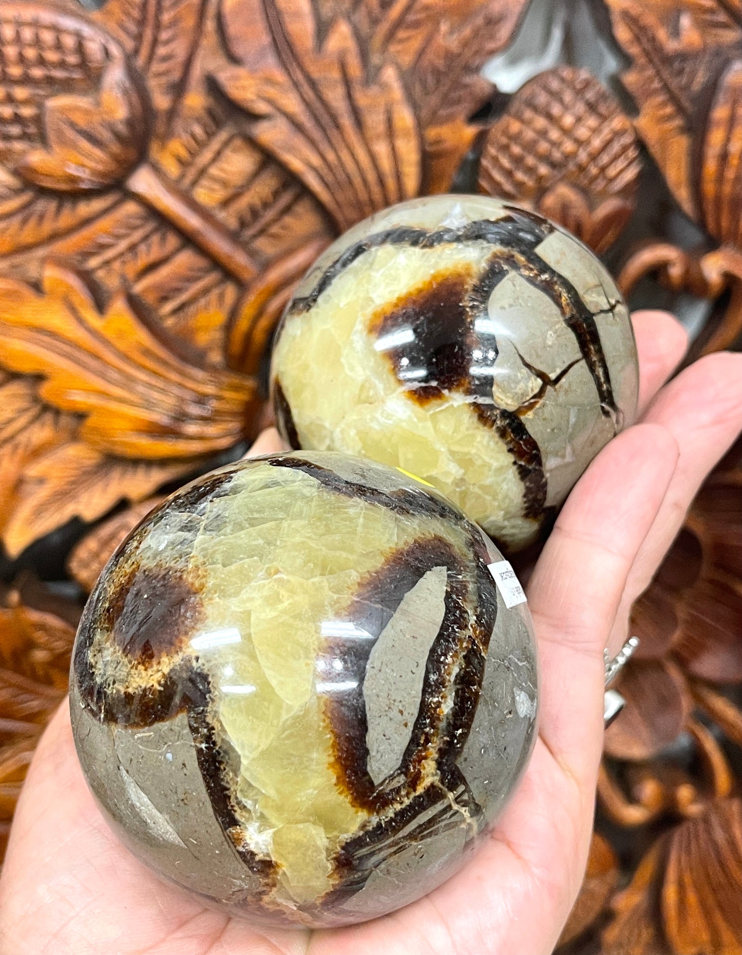Septarian Spheres