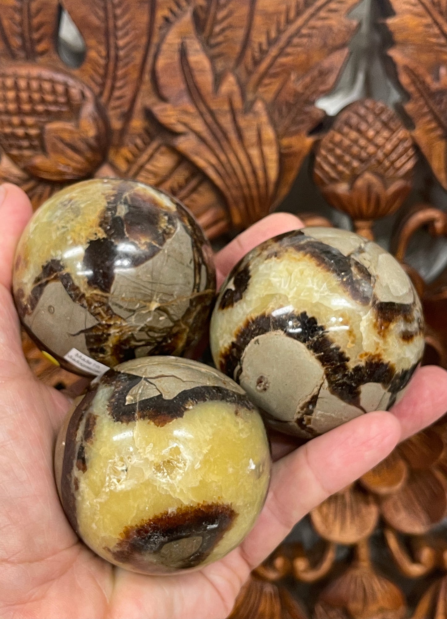Septarian Spheres