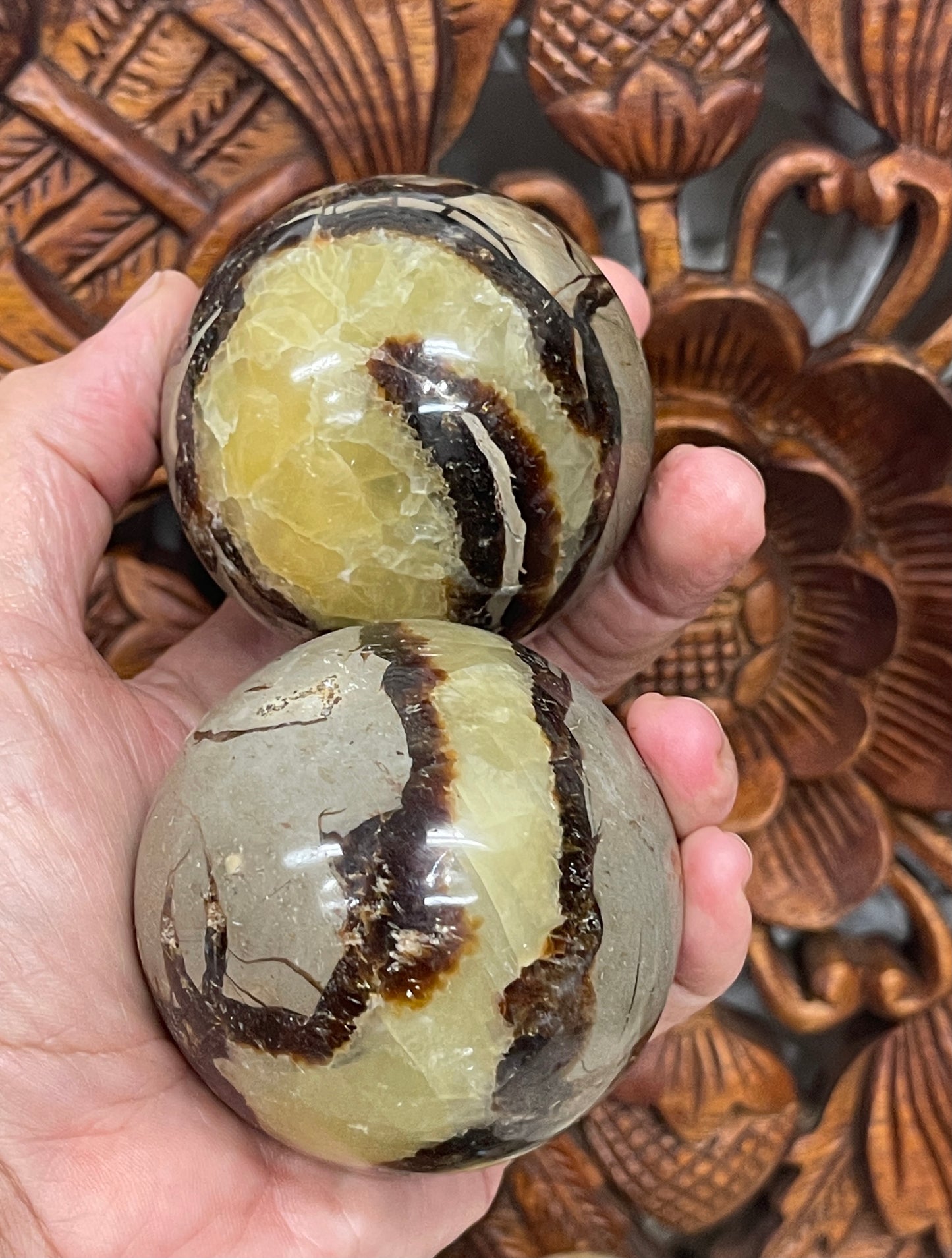 Septarian Spheres