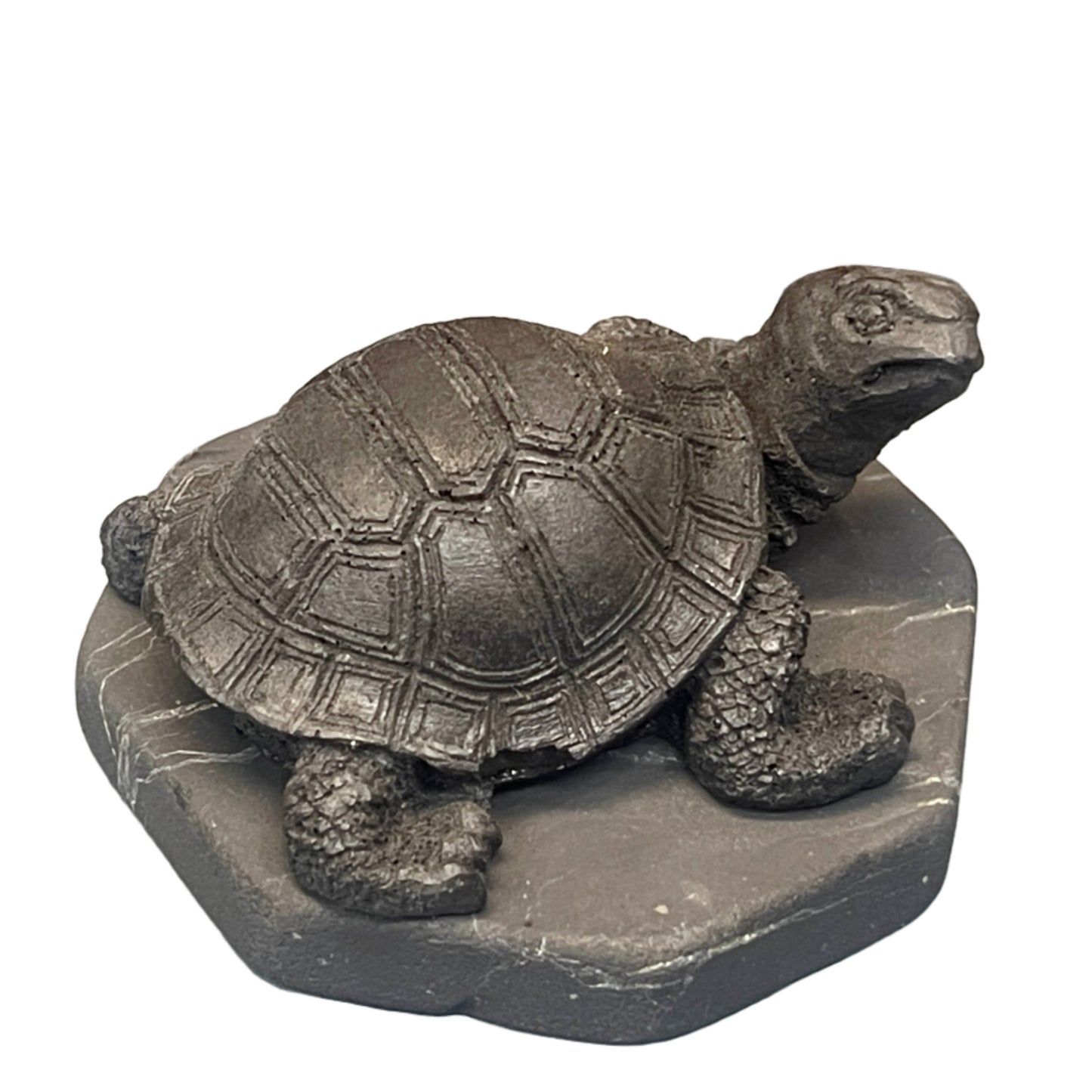 Shungite Turtles