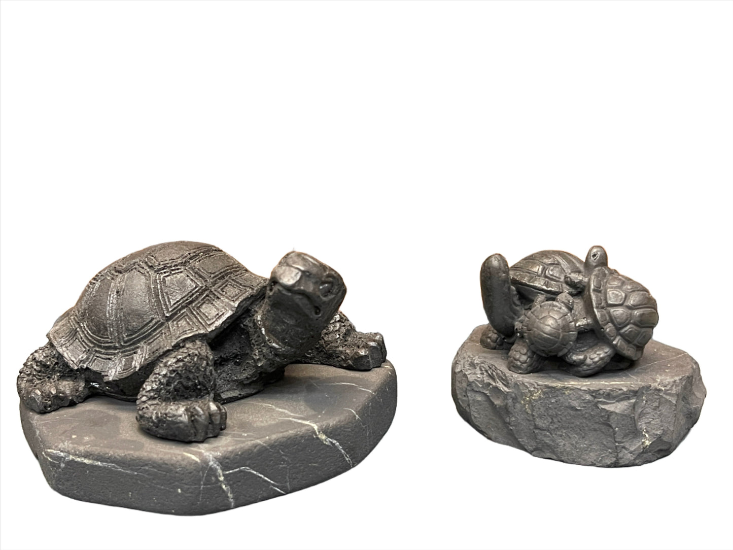 Shungite Turtles