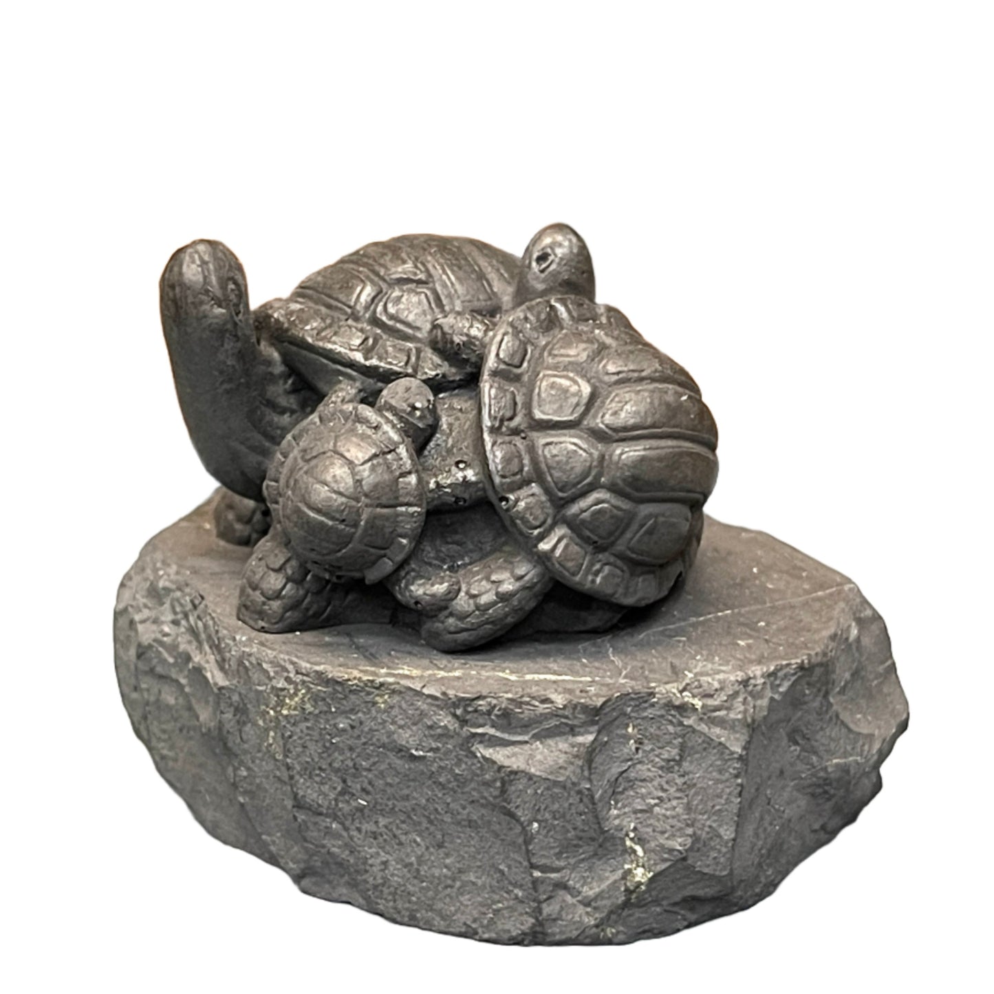 Shungite Turtles