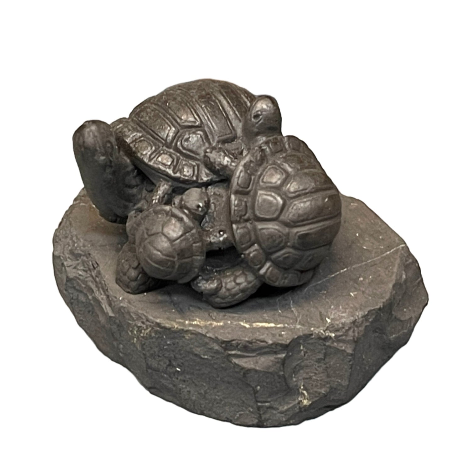 Shungite Turtles