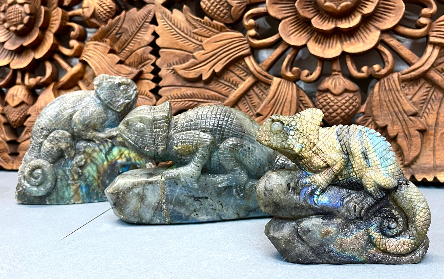 Labradorite Chameleons